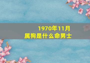 1970年11月属狗是什么命男士