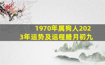 1970年属狗人2023年运势及运程腊月初九