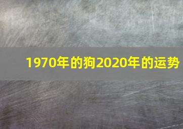 1970年的狗2020年的运势