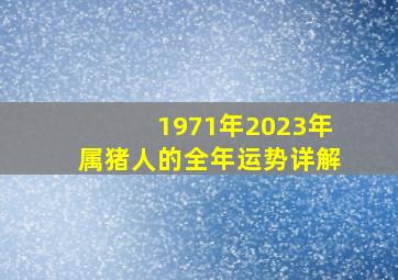 1971年2023年属猪人的全年运势详解