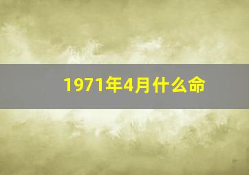 1971年4月什么命