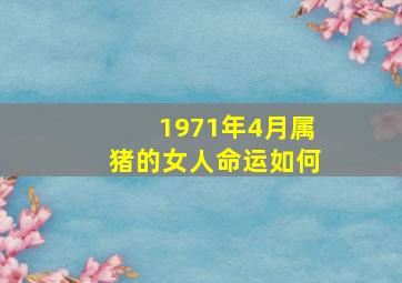 1971年4月属猪的女人命运如何