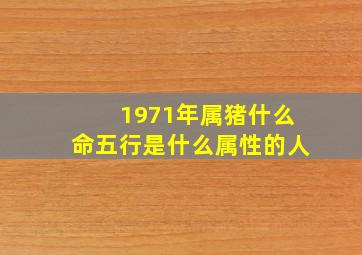 1971年属猪什么命五行是什么属性的人