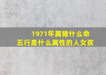 1971年属猪什么命五行是什么属性的人女孩