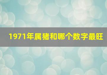 1971年属猪和哪个数字最旺