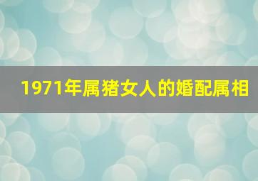 1971年属猪女人的婚配属相