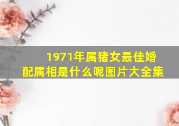 1971年属猪女最佳婚配属相是什么呢图片大全集