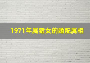 1971年属猪女的婚配属相