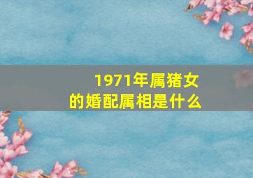 1971年属猪女的婚配属相是什么