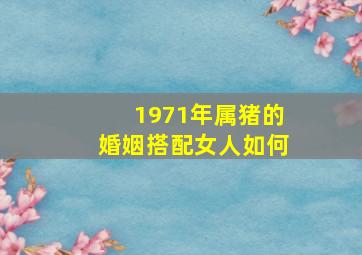 1971年属猪的婚姻搭配女人如何