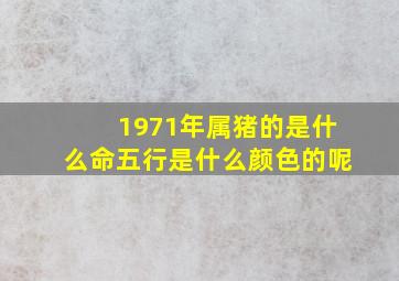 1971年属猪的是什么命五行是什么颜色的呢