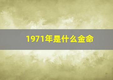 1971年是什么金命