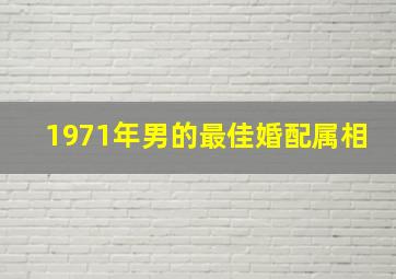 1971年男的最佳婚配属相