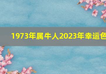 1973年属牛人2023年幸运色