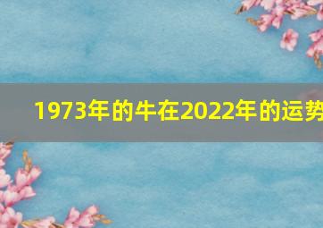 1973年的牛在2022年的运势