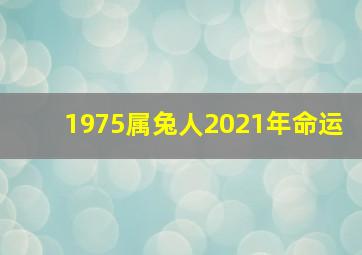 1975属兔人2021年命运