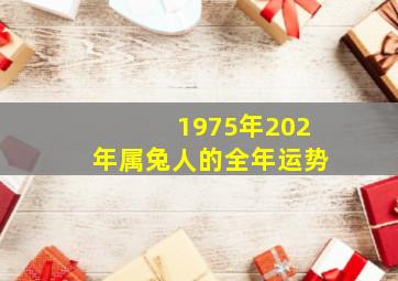 1975年202年属兔人的全年运势