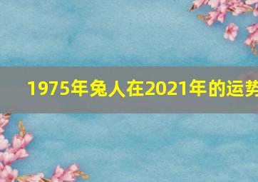 1975年兔人在2021年的运势