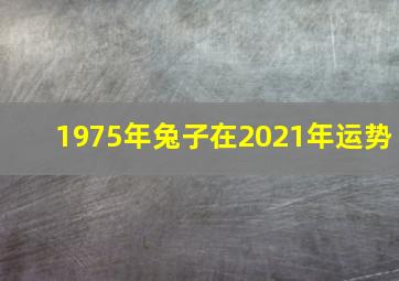 1975年兔子在2021年运势