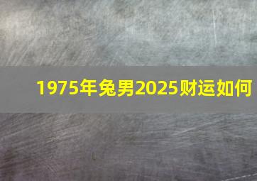 1975年兔男2025财运如何