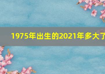 1975年出生的2021年多大了