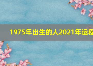 1975年出生的人2021年运程