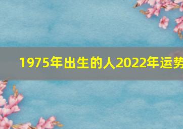 1975年出生的人2022年运势