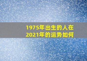 1975年出生的人在2021年的运势如何