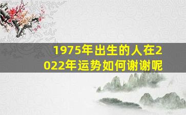 1975年出生的人在2022年运势如何谢谢呢