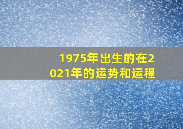 1975年出生的在2021年的运势和运程