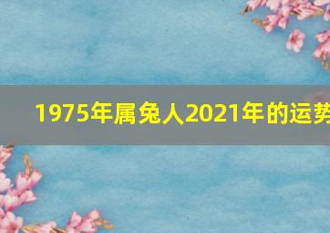 1975年属兔人2021年的运势