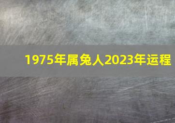 1975年属兔人2023年运程