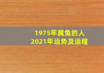 1975年属兔的人2021年运势及运程