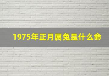 1975年正月属兔是什么命