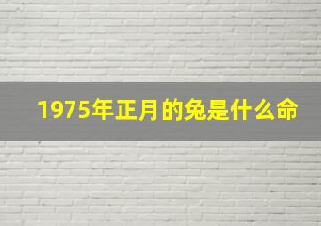 1975年正月的兔是什么命