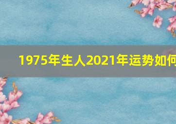 1975年生人2021年运势如何