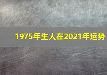 1975年生人在2021年运势