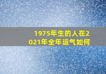 1975年生的人在2021年全年运气如何