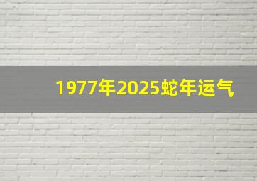 1977年2025蛇年运气