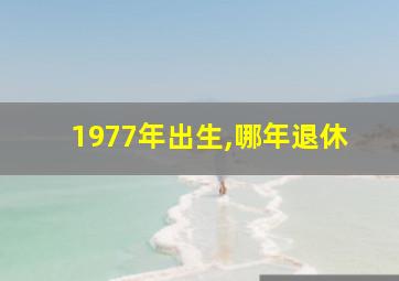 1977年出生,哪年退休