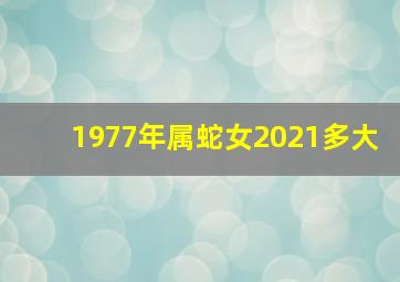 1977年属蛇女2021多大