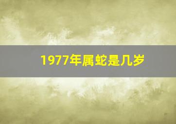 1977年属蛇是几岁