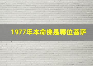 1977年本命佛是哪位菩萨