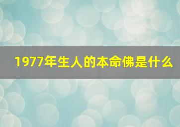 1977年生人的本命佛是什么