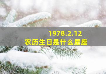 1978.2.12农历生日是什么星座