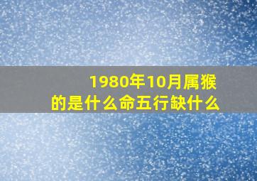 1980年10月属猴的是什么命五行缺什么