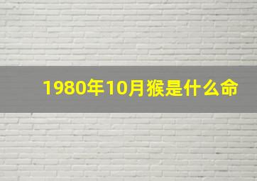 1980年10月猴是什么命