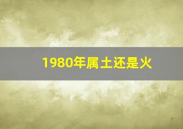 1980年属土还是火