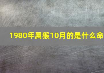 1980年属猴10月的是什么命