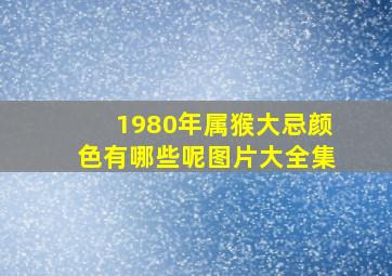 1980年属猴大忌颜色有哪些呢图片大全集